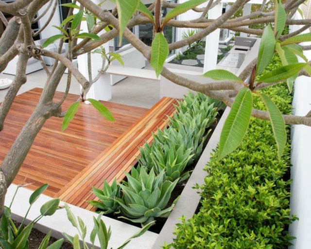 terrasse design plantes deco