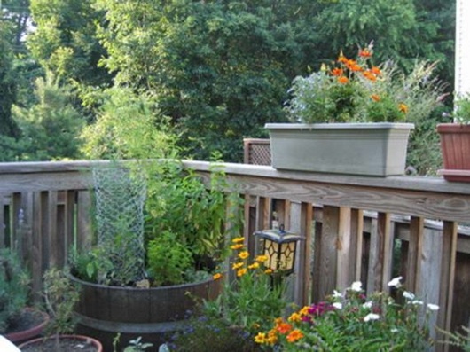 terrasse verdoyante pots fleurs au soleil
