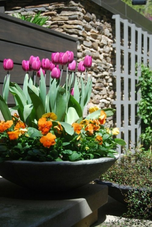 des tulipes decoration exterieur