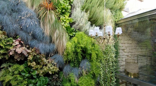 Le mur végétal extérieur qui fait un vrai jardin urbain  vertical extérieur 
